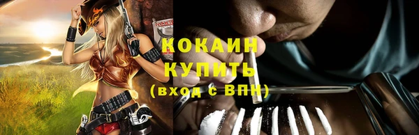 стаф Балахна