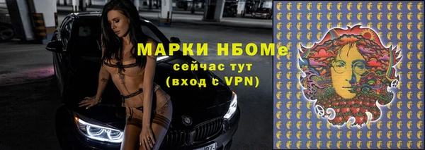 стаф Балахна